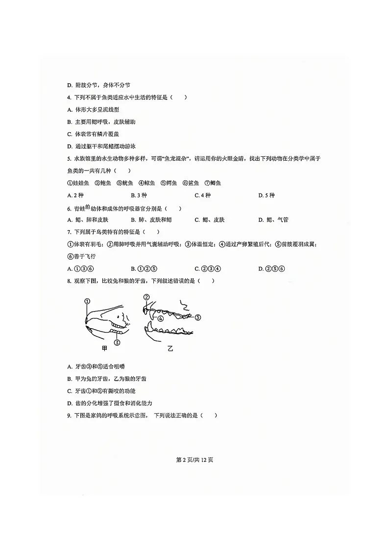 白云区2024-2025学年八年级上学期期末生物试题(含答案)第2页