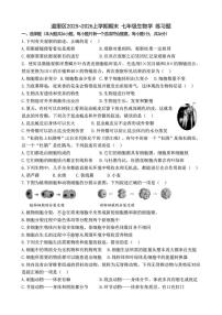 黑龙江省哈尔滨市道里区2025-2026学年七年级上学期期末考试生物试卷