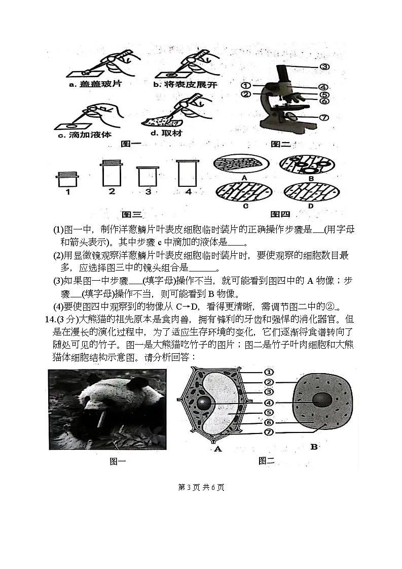 辽宁省沈阳市铁西区多校联考2025-2026学年七年级上学期期末生物试卷第3页