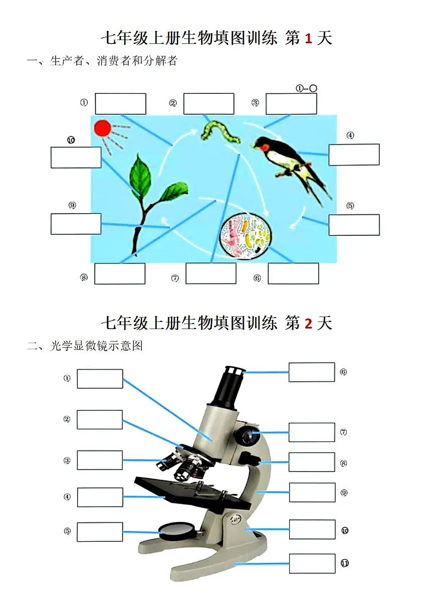 2024版人教版七年级上册生物填图训练含答案第1页