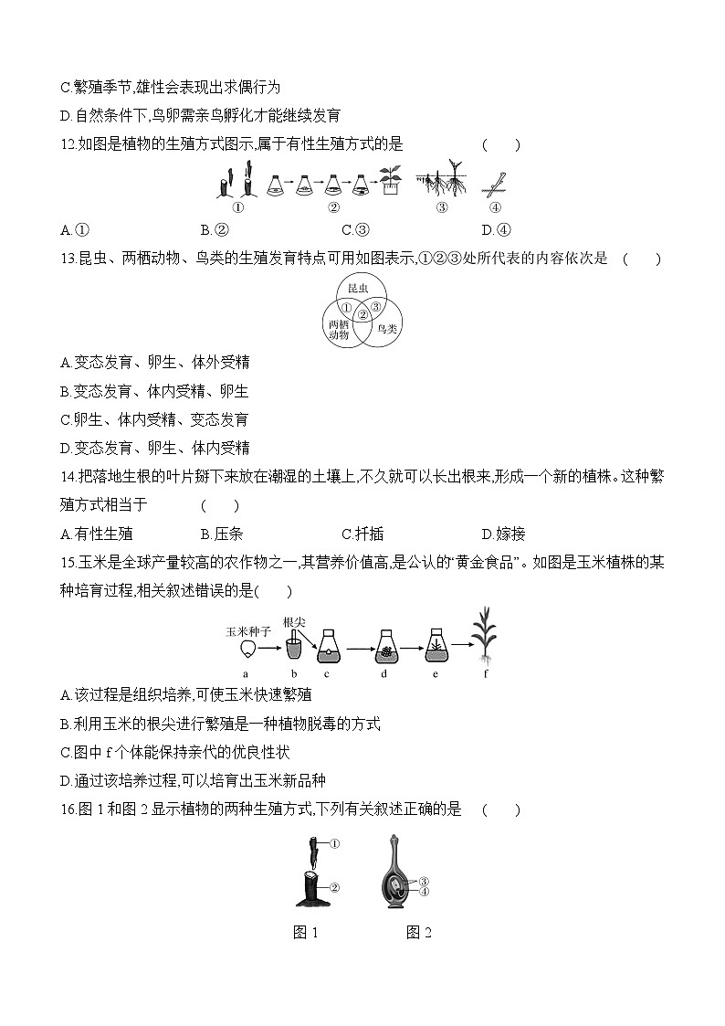 第六单元第一章 生物的生殖 评估检测卷(含答案)-初中生物人教版八年级下册第3页