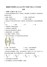 安徽省淮北市濉溪县部分校联考2025-2026学年八年级上学期12月月考生物试题