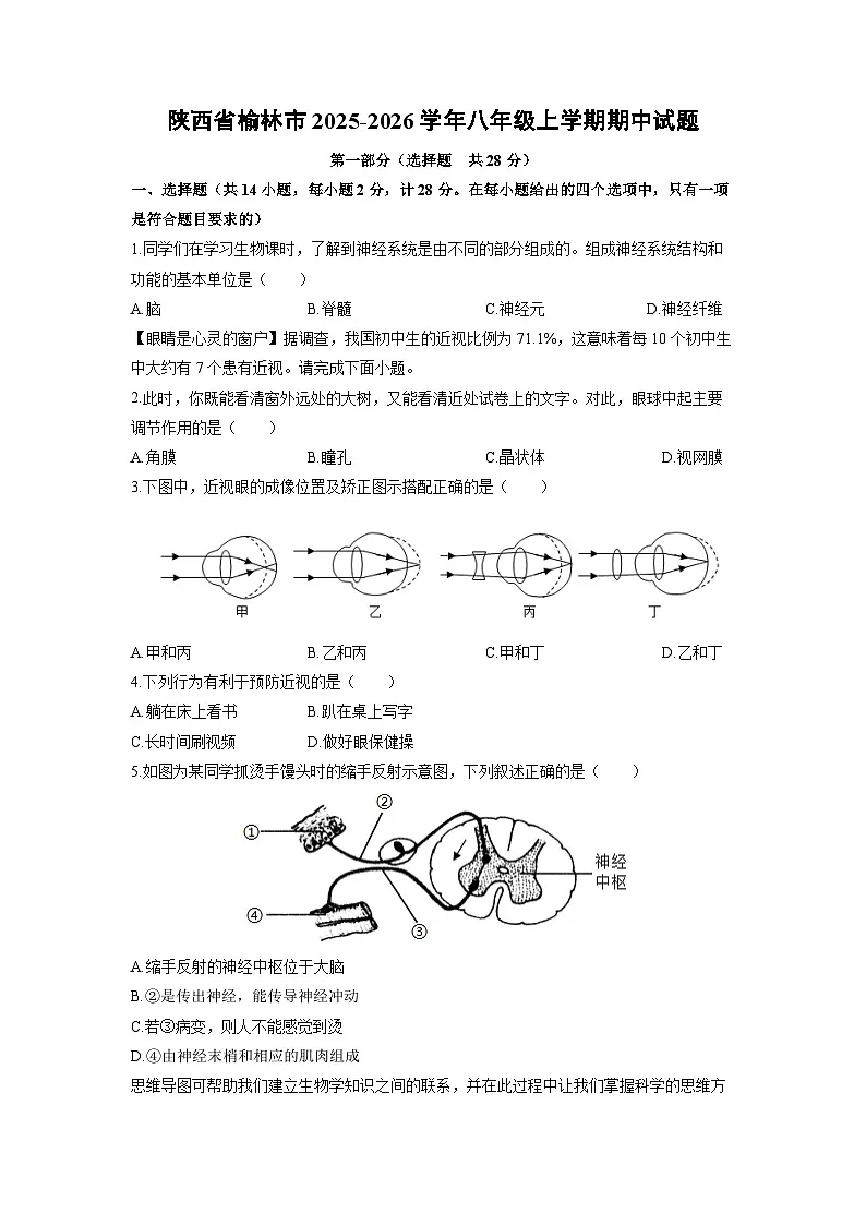 2025-2026学年陕西省榆林市八年级上学期期中生物试卷(学生版)第1页
