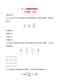 2026年中考生物第一轮复习专题从细胞到生物体练习含答案