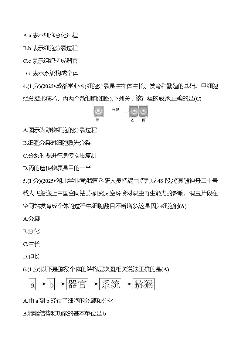 2026年中考生物第一轮复习专题从细胞到生物体练习含答案第2页