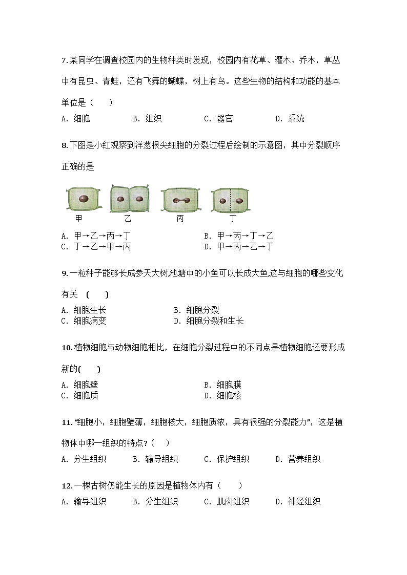 河南省安阳市滑县2025-2026学年七年级上学期期中生物试题第2页