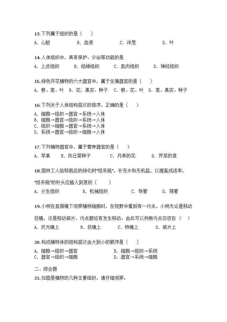 河南省安阳市滑县2025-2026学年七年级上学期期中生物试题第3页