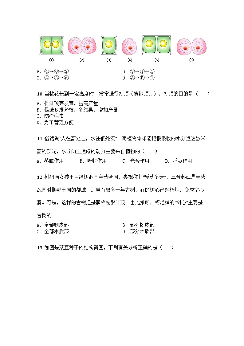 河南省安阳市汤阴县2024-2025学年七年级上学期期末生物试题第3页