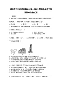河南省开封市通许县2024—2025学年七年级下学期期中生物试题