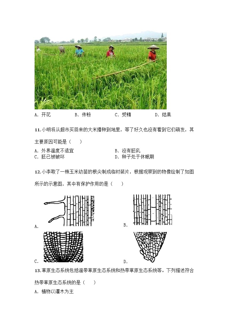 河南省洛阳市洛宁县2024-2025学年七年级下学期期中生物试题第3页