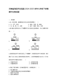 河南省洛阳市汝阳县2024-2025学年七年级下学期期中生物试题