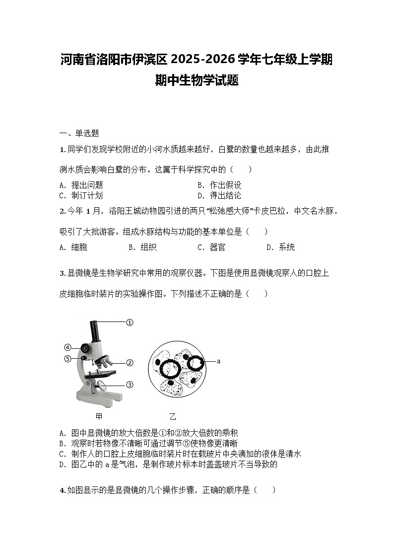 河南省洛阳市伊滨区2025-2026学年七年级上学期期中生物学试题第1页