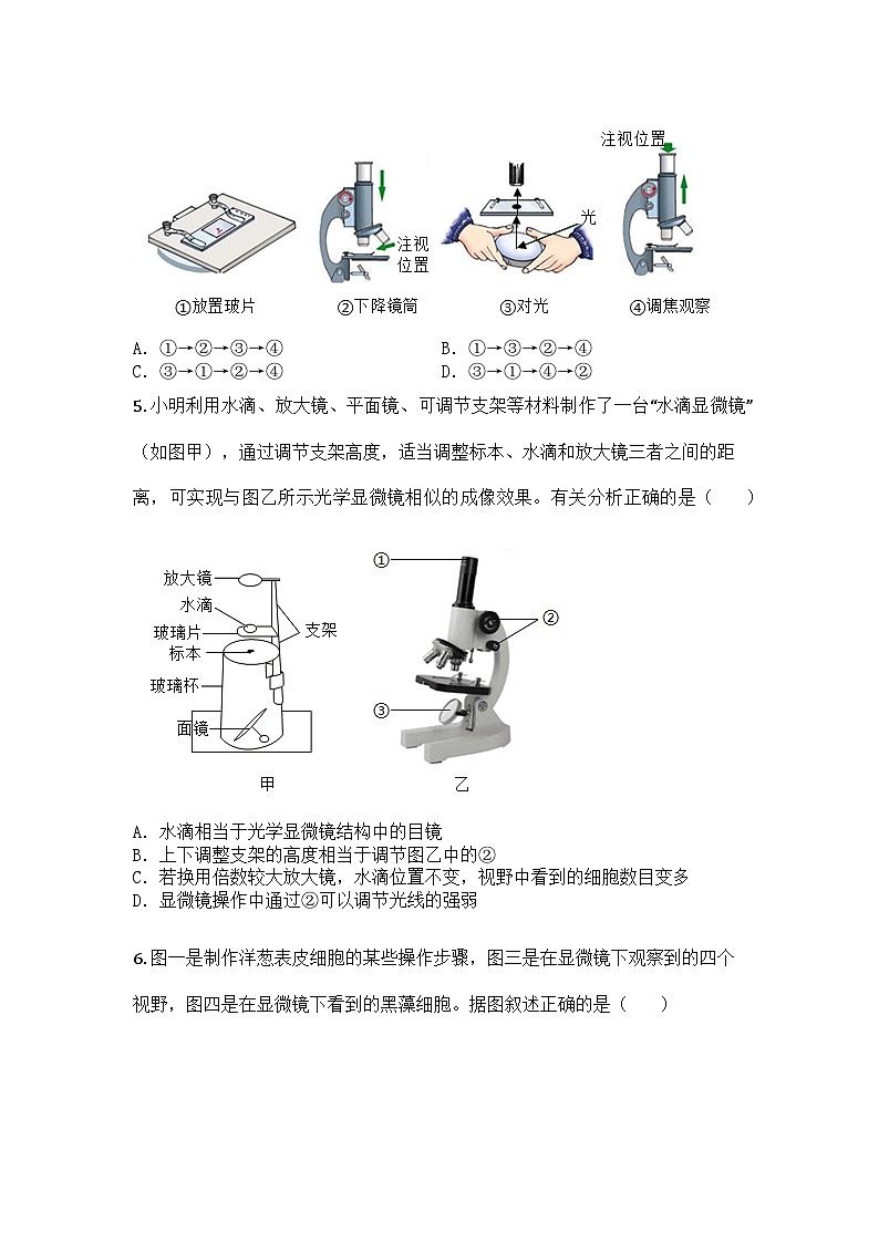 河南省洛阳市伊滨区2025-2026学年七年级上学期期中生物学试题第2页