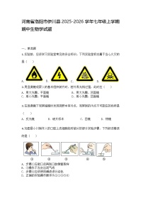 河南省洛阳市伊川县2025-2026学年七年级上学期期中生物学试题