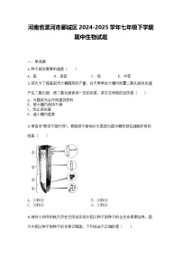 河南省漯河市郾城区2024-2025学年七年级下学期期中生物试题