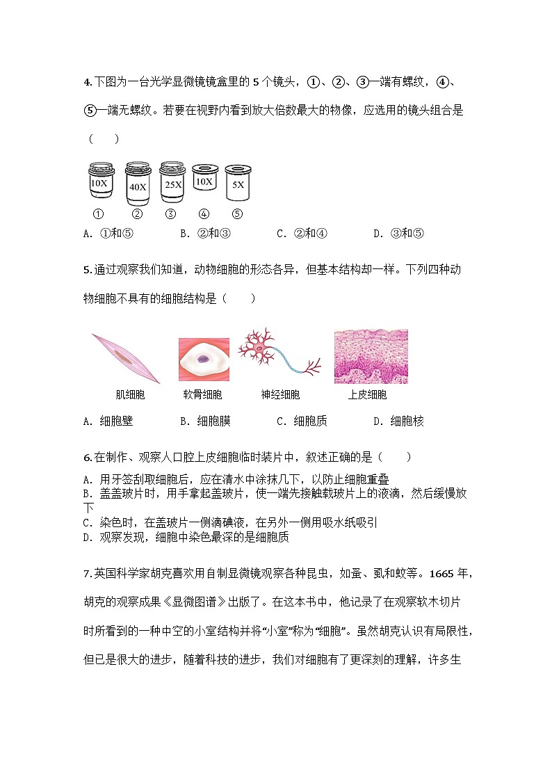 河南省平顶山市宝丰县2025-2026学年七年级上学期期中生物学试题第2页