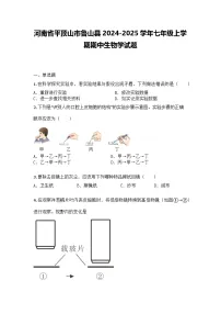 河南省平顶山市鲁山县2024-2025学年七年级上学期期中生物学试题