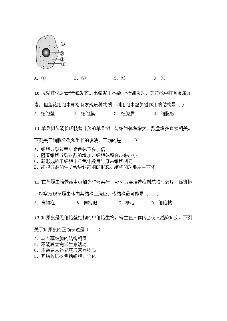 河南省平顶山市鲁山县2024-2025学年七年级上学期期中生物学试题第3页