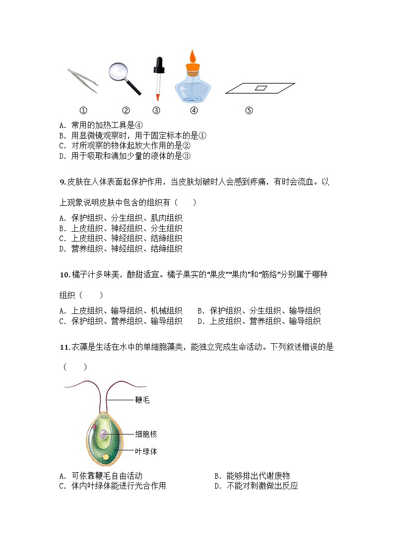 河南省平顶山市鲁山县2025-2026学年七年级上学期期中生物学试题第3页