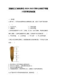 河南省三门峡市多校2024-2025学年七年级下学期3月月考生物试题