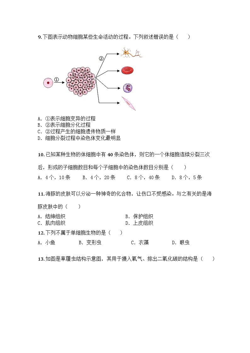 河南省平顶山市鲁山县第六教研区2025-2026学年七年级上学期期中生物试题第3页