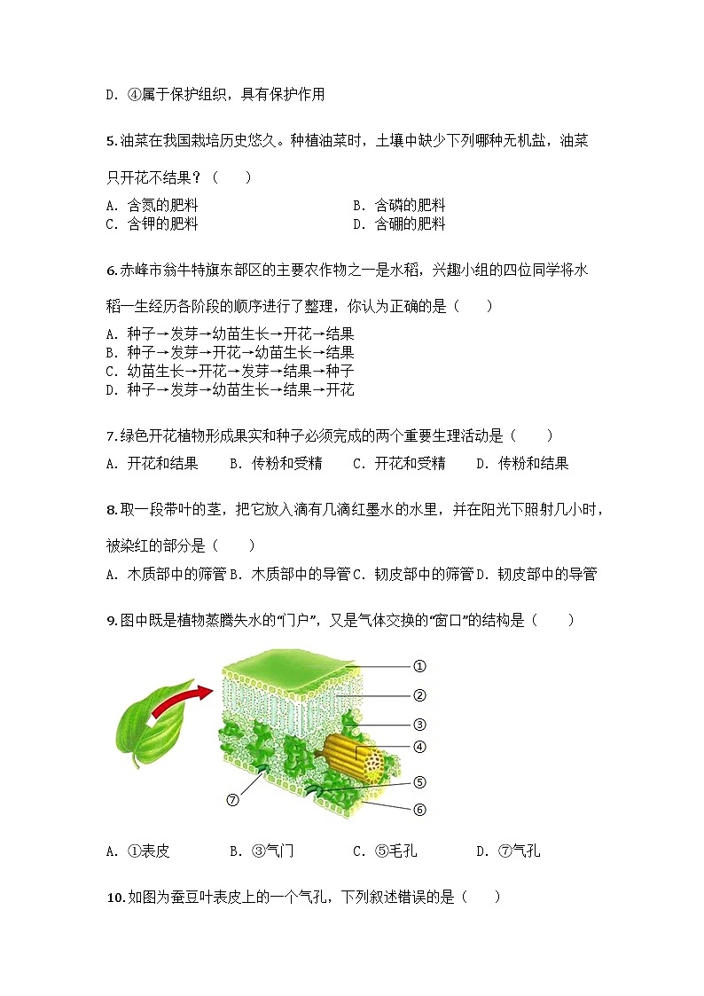 河南省信阳市息县2024-2025学年七年级下学期期中生物试题第2页