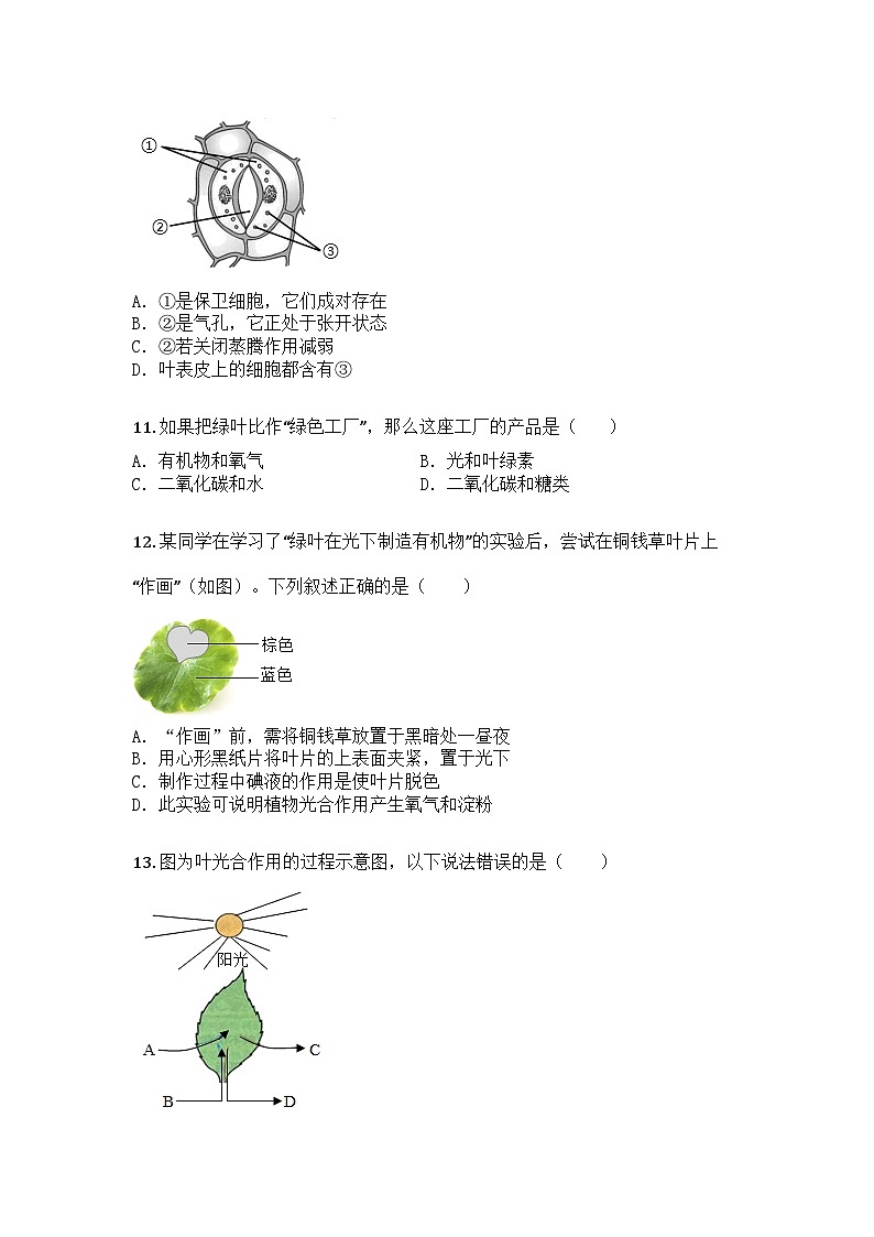 河南省信阳市息县2024-2025学年七年级下学期期中生物试题第3页