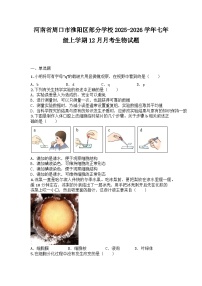 河南省周口市淮阳区部分学校2025-2026学年七年级上学期12月月考生物试题