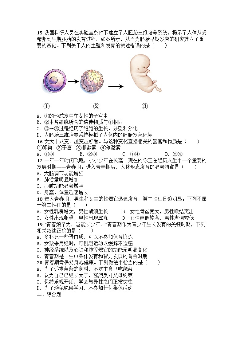 河南省周口市商水县2024-2025学年七年级下学期期中生物试题第3页