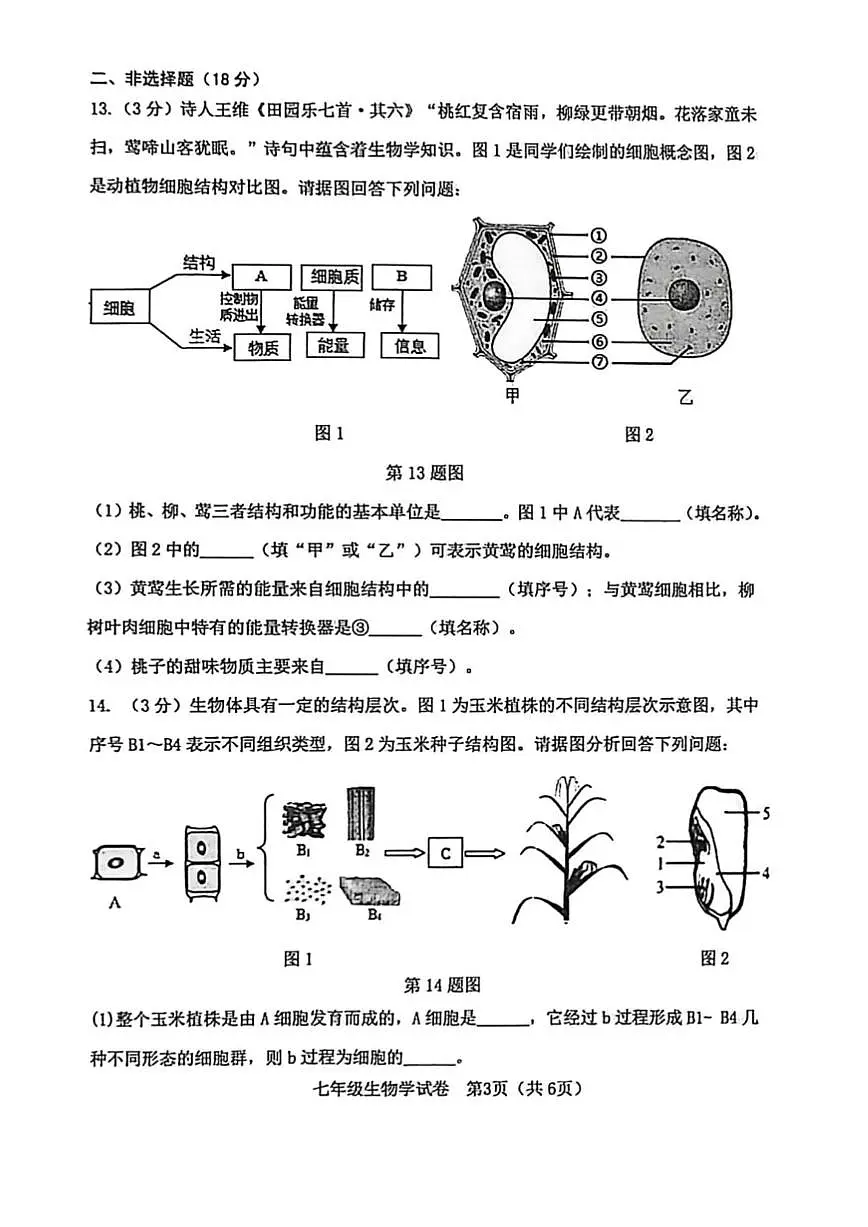 辽宁省大连市金普新区2025-2026学年第一学期七年级生物期末试卷(无答案)第3页