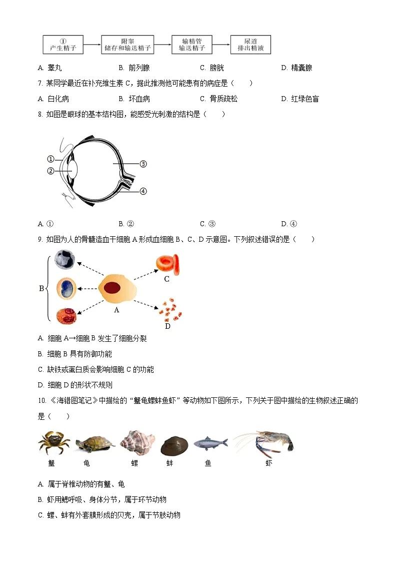 2025年福建省初中毕业班百校联考中考模拟预测生物试题-A4第2页