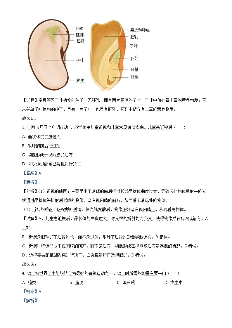 2025年甘肃省定西市临洮县中考一模生物试题(解析版)-A4第2页