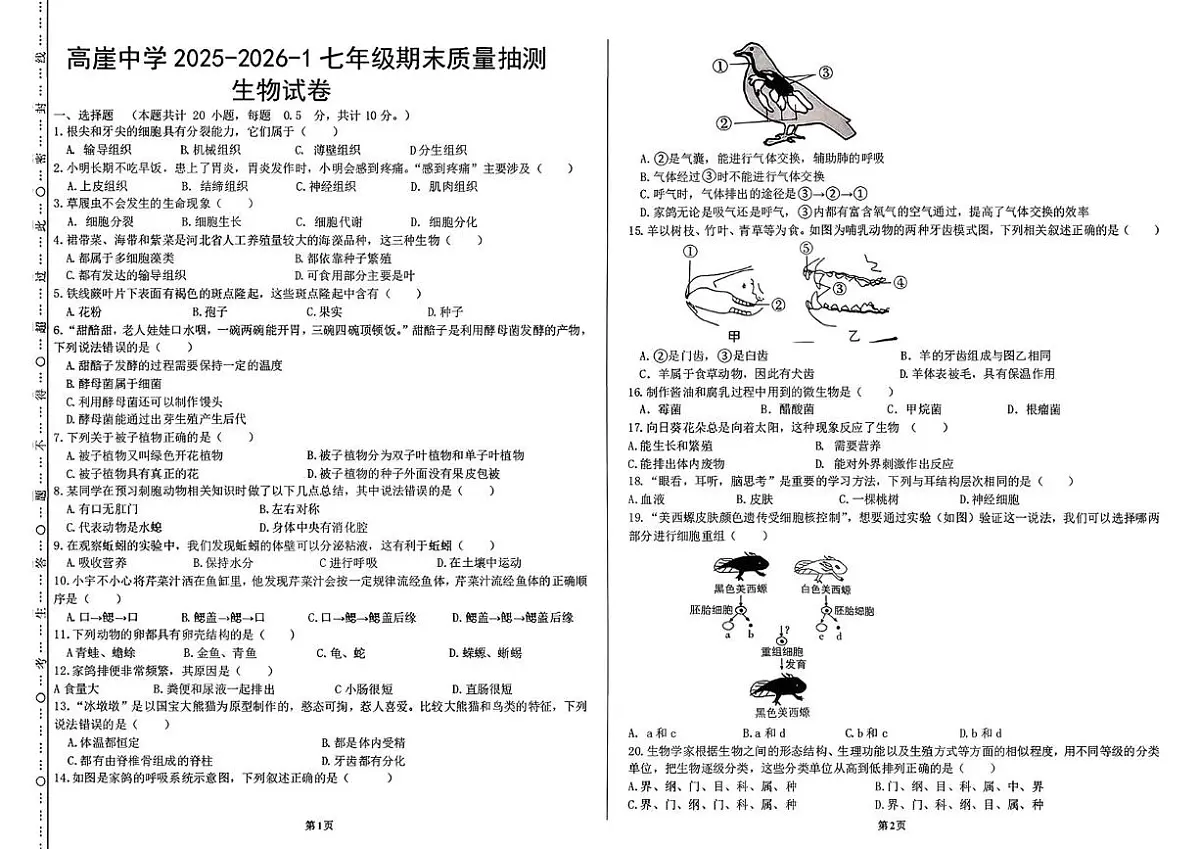 宁夏中卫市海原县高崖乡九年一贯制学校2025-2026学年七年级上学期生物期末检测试卷第1页