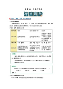 2026年中考一轮生物复习讲义：专题11 人体的营养（含答案）