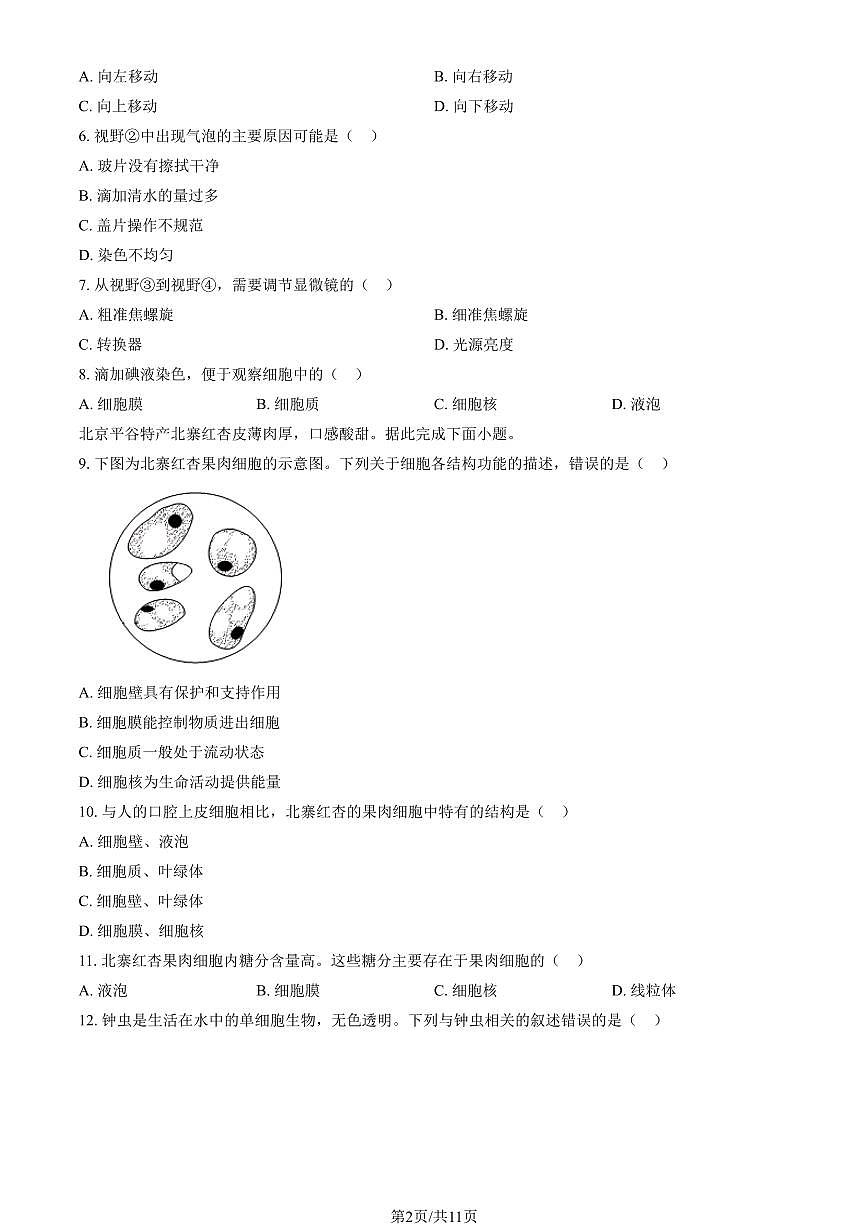 北京市朝阳区2025-2026学年第一学期七年级生物期末试卷(含答案)第2页