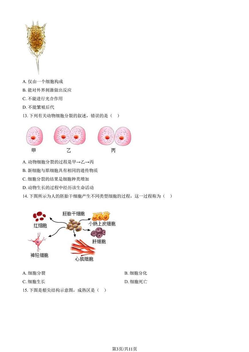 北京市朝阳区2025-2026学年第一学期七年级生物期末试卷(含答案)第3页