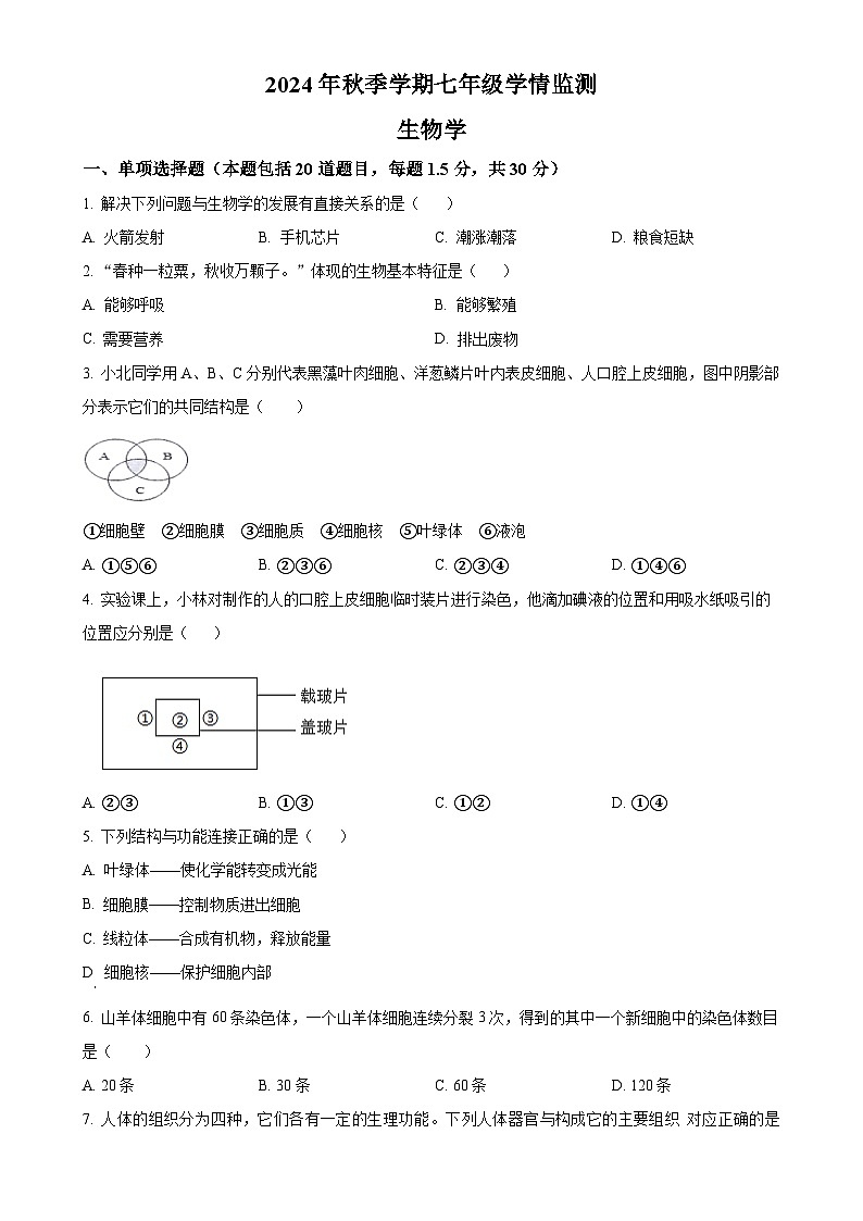 甘肃省陇南市西和县2024—2025学年七年级上学期期末生物试题(原卷版)-A4第1页