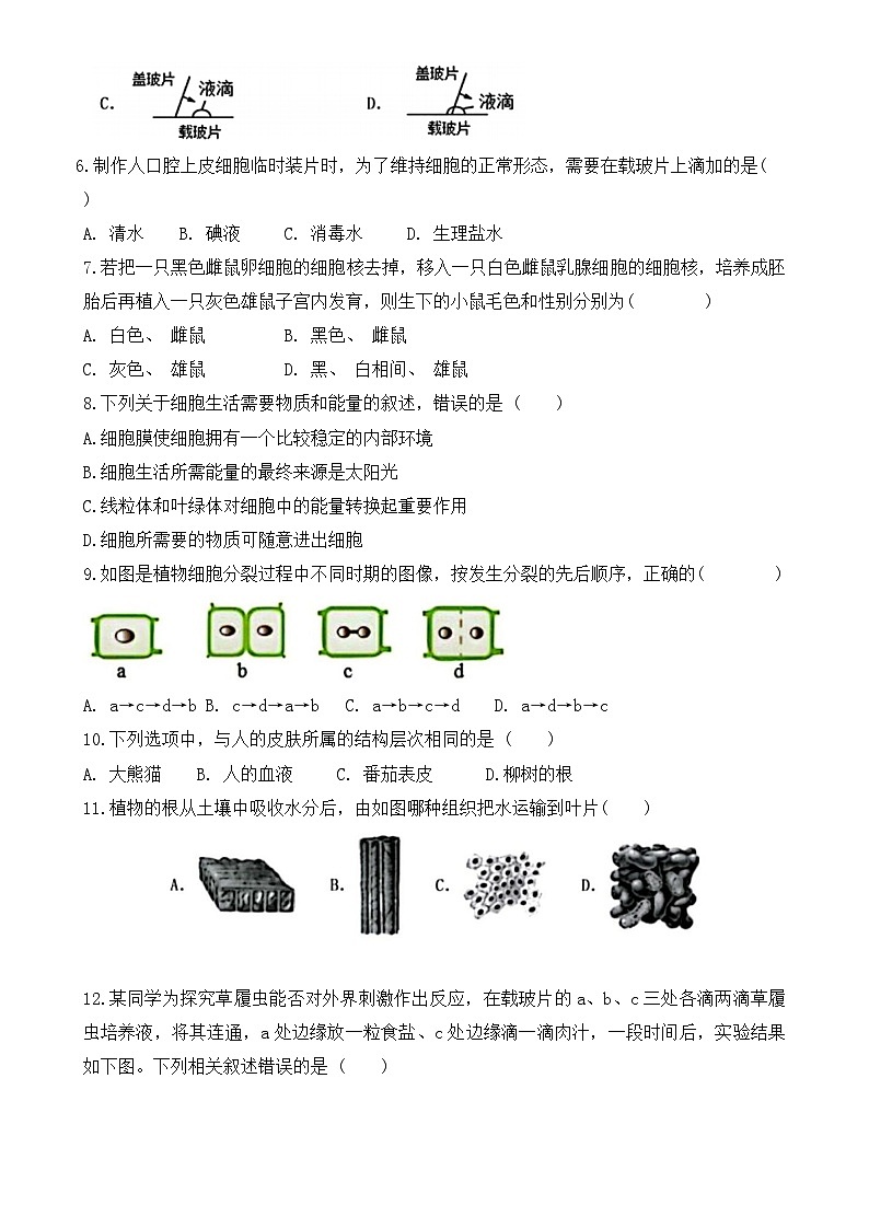 福建省平潭市一中教研片2024--2025学年七年级上学期期末适应性练习生物试卷-A4第2页