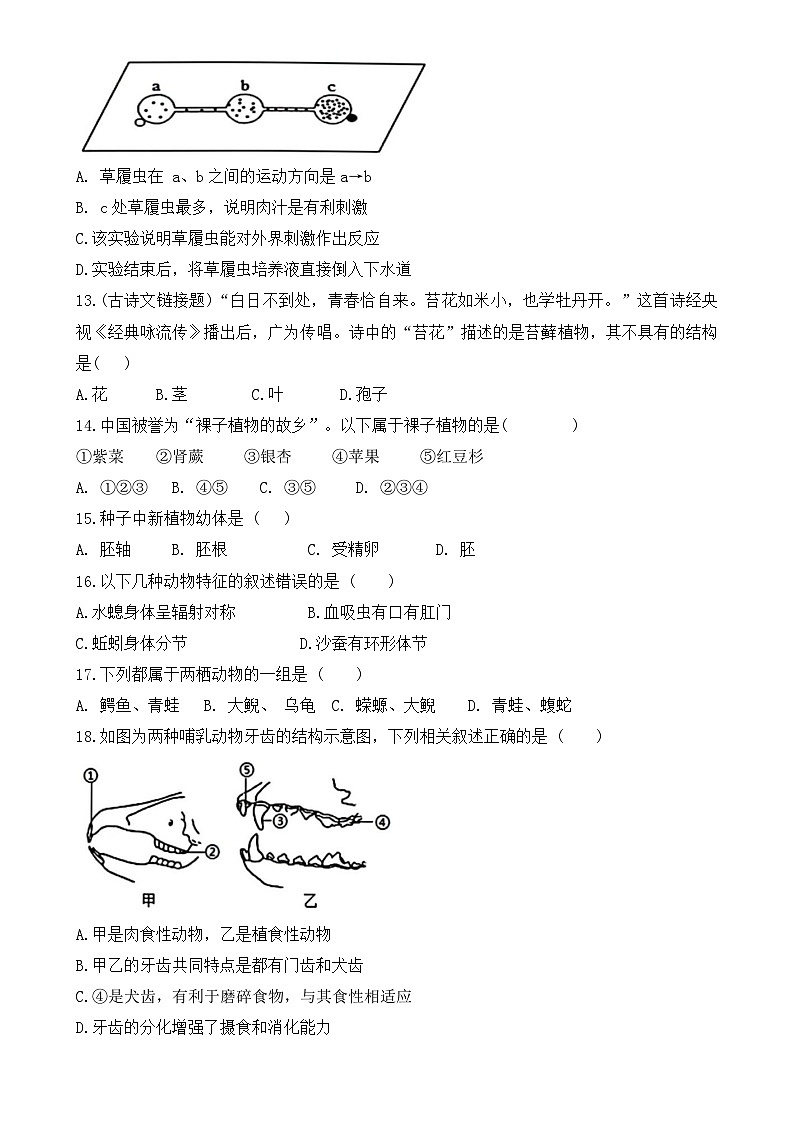 福建省平潭市一中教研片2024--2025学年七年级上学期期末适应性练习生物试卷-A4第3页