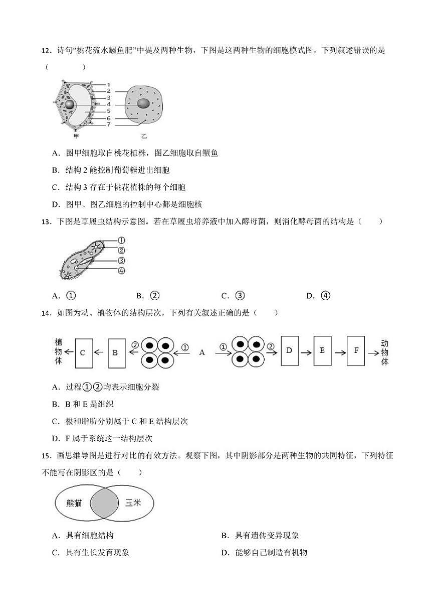 2025--2026年【苏教版】初中生物七年级上册期末质量评估卷一(有解析)第3页