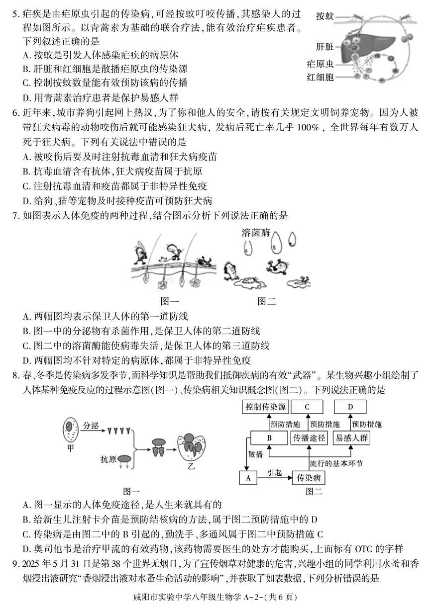 2025-2026学年陕西省咸阳市实验中学八年级上学期阶段性检测生物试卷(有答案)第2页