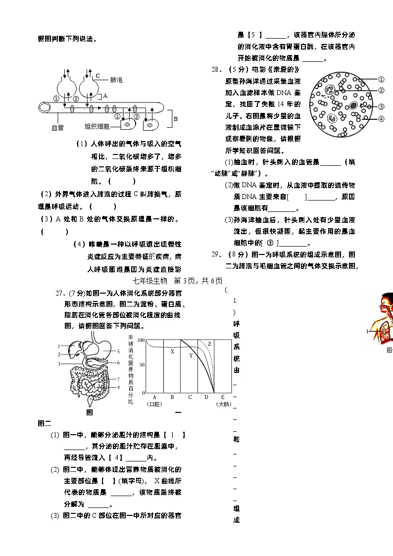 (教研室)福建省龙岩市漳平市七年级下学期期中考试生物试题-A4第3页