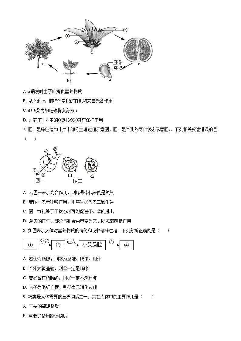 2025年甘肃省武威市凉州区西营镇九年级中考一模生物试题(原卷版)-A4第2页
