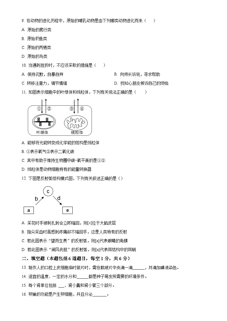 2025年甘肃省定西市临洮县中考一模生物试题(原卷版)-A4第2页