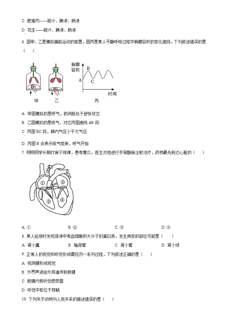 2025年甘肃省武威市凉州区凉州区长城中学、吴家井中学九年级中考一模生物试题(原卷版)-A4第2页