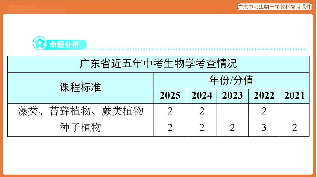 17824201第2页