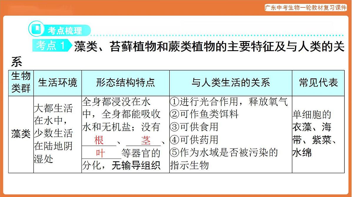 17824201第3页