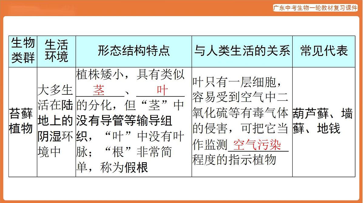 17824201第4页