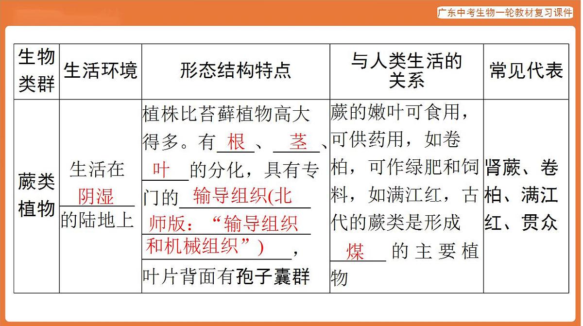 17824201第5页