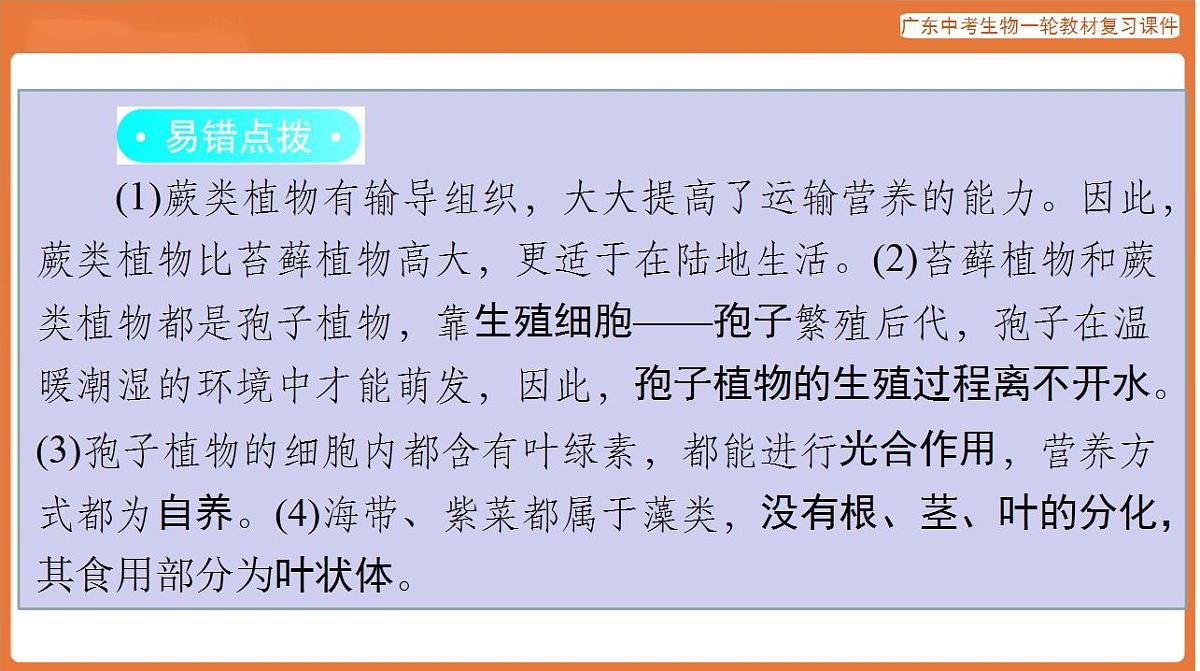 17824201第6页